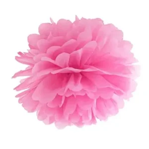 Pom poms blomma, cerise