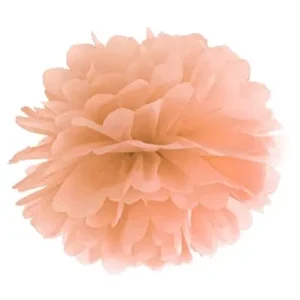 Pom poms blomma, aprikos